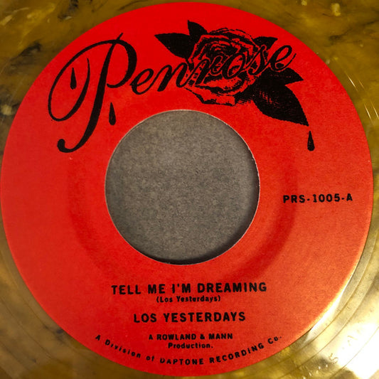 45 Record  - Tell Me I'm Dreaming/Time
