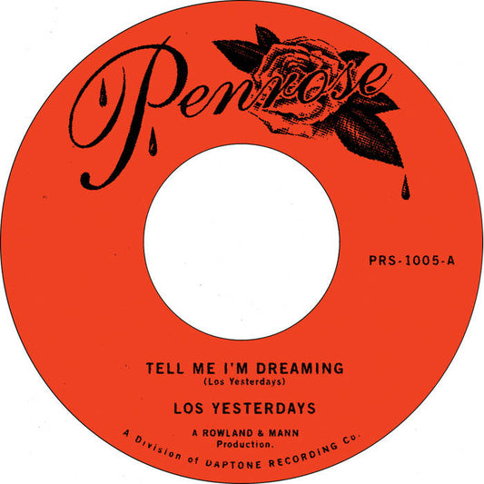 45 - Tell Me I'm Dreaming/Time